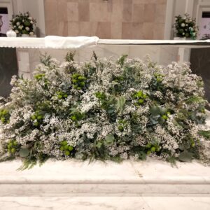 San Francisco de Borja con paniculata y eucalipto. Jesuitas de Serrano en Madrid.